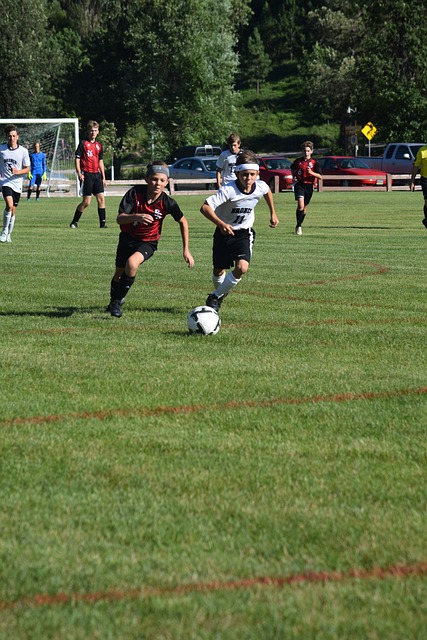 告知只能严 告知只能严